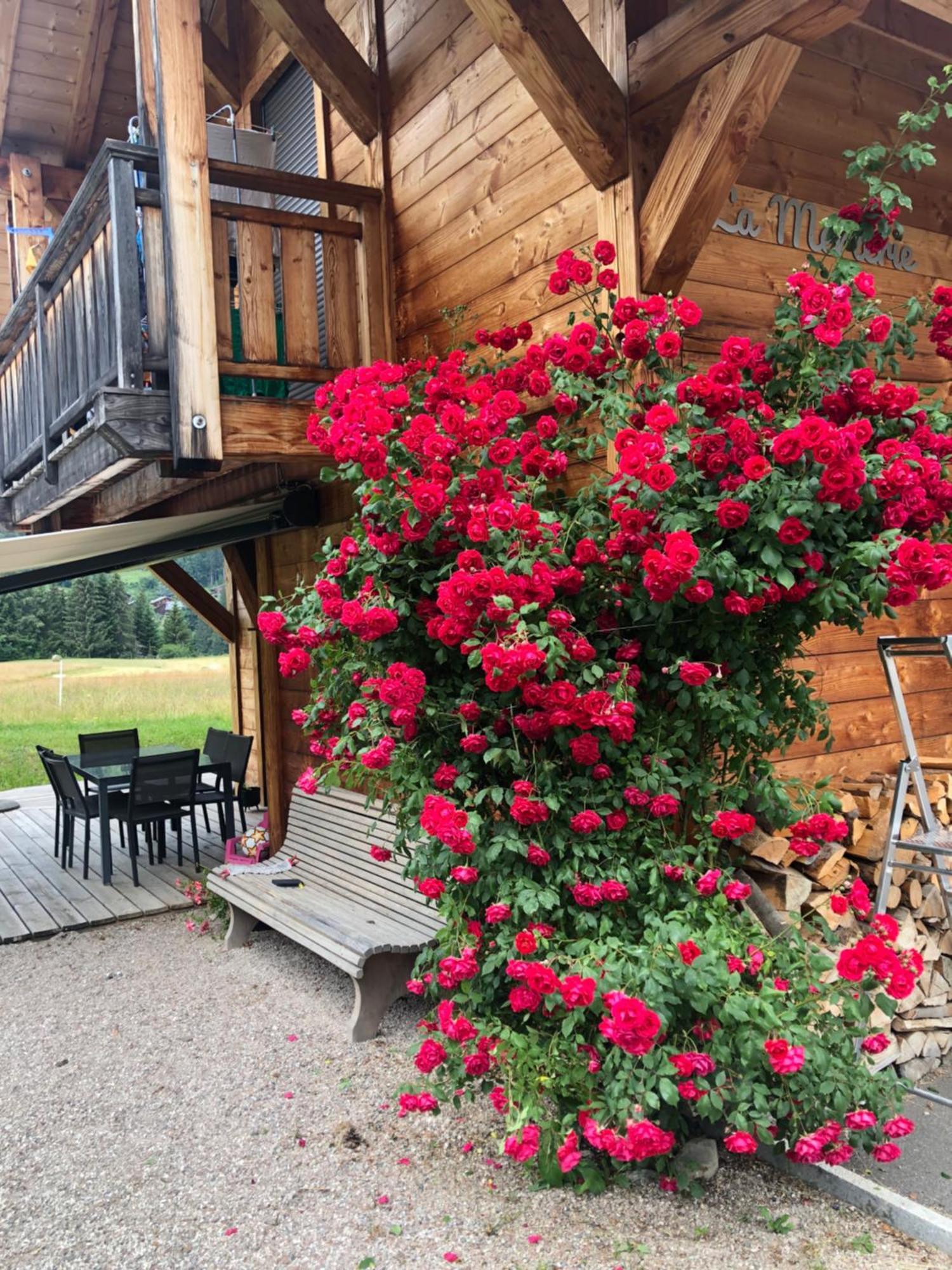 Chalet La Merlerie Morzine Eksteriør billede